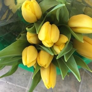 Meet your Posher, Marcia